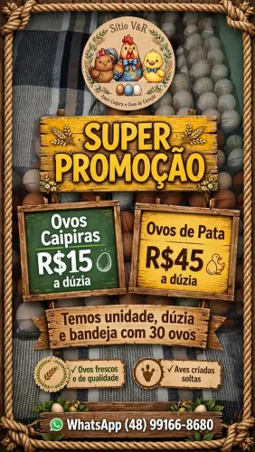 Ovos caipiras de galinha jumbo