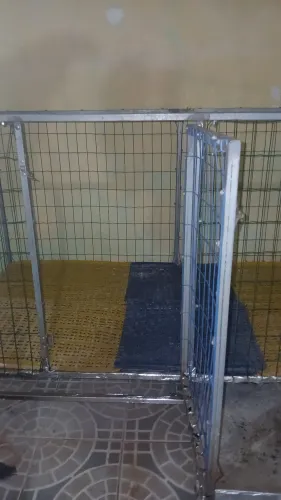 Vende-se canil para pet com sistema de drenagem de dejetos