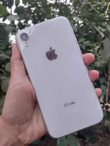 iPhone XR