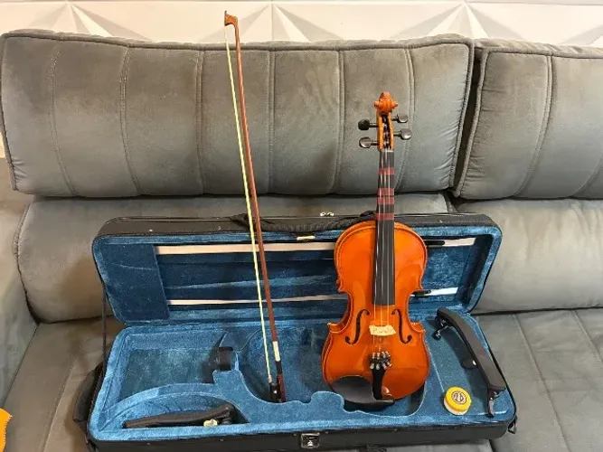 Violino