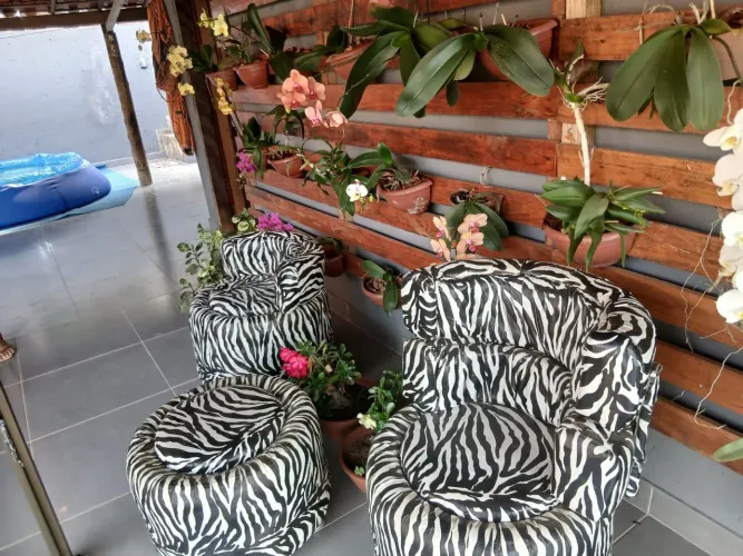 Conjunto de poltronas zebra + puff decorativo