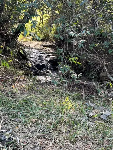Vendo chácara em Senador Canedo