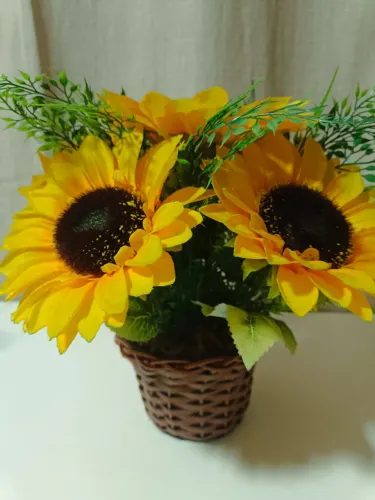 Arranjo flor planta girassol