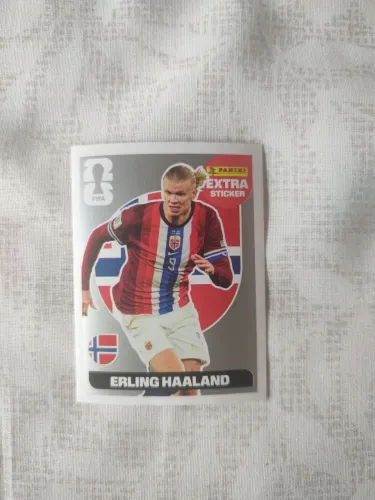 ERLING HALLAND PRATA 2026