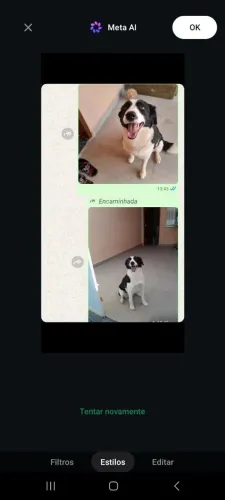Cachorro 