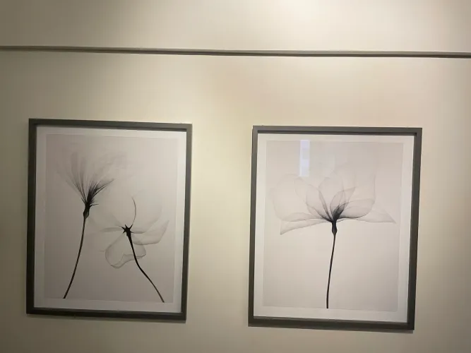 Vendo dois quadros TokStok 