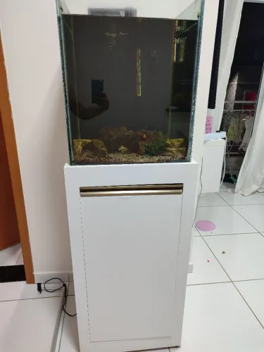 Aquário (Campina grande)