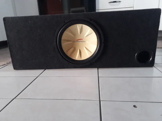 Sub Champion 12P 250Watts rms 4ohms no box. 