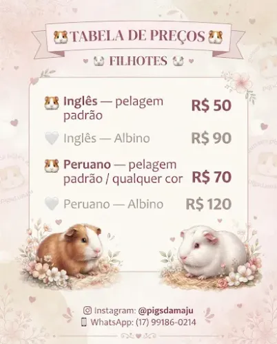 Porquinho da índia