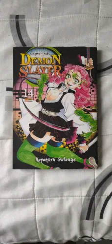 Mangá Demon Slayer Volume 14
