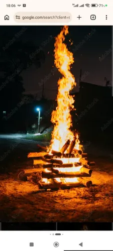 Lenha para fogueira 