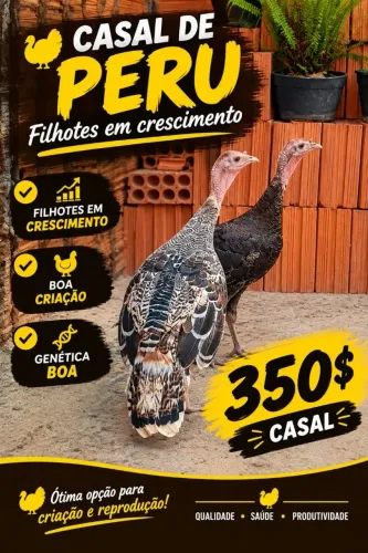 Casal de perus