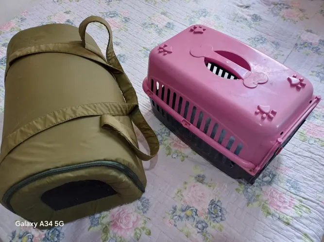 Case pra transporte de animais