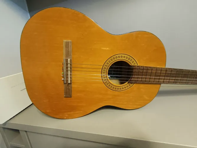 Violão Giannini Série Estudo Vintage (Anos 80/90) - Com Capa