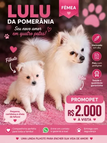 Lulu femea na promopet