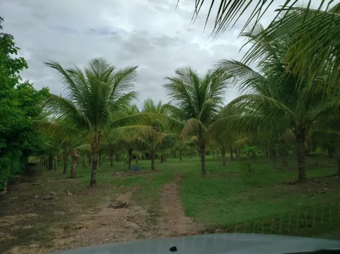 Chácara com 104 metros beira de rio à venda, 50000 m² por R$ 1.300.000 - Zona Rural - Cuia