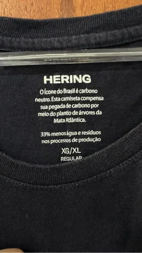 Regata Hering