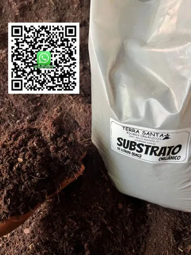 SUBSTRATO PLANTIO DE 10 LITROS