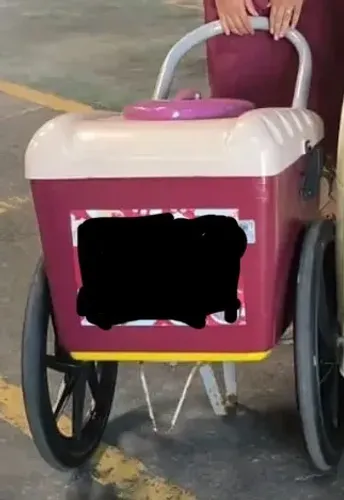 Carrinho para Picolé 