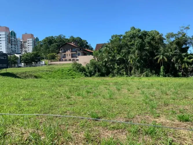 TERRENO no ANITA GARIBALDI com 0 quartos para VENDA, 3087 m²
