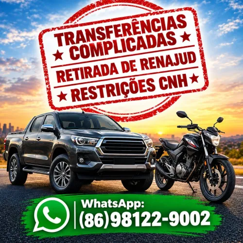 Despachante Veículos - DETRAN