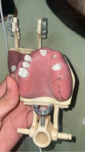 MANEQUIM ODONTOLOGIA 