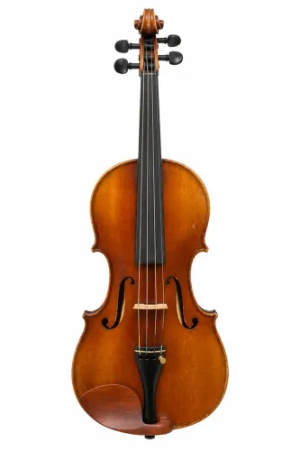 Violino Profissional 