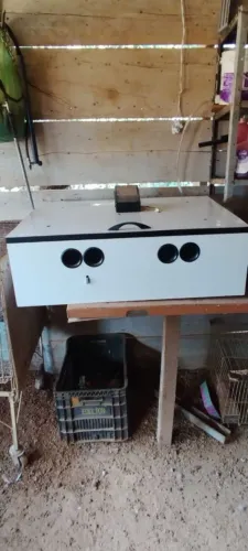 Chocadeira 120 ovos