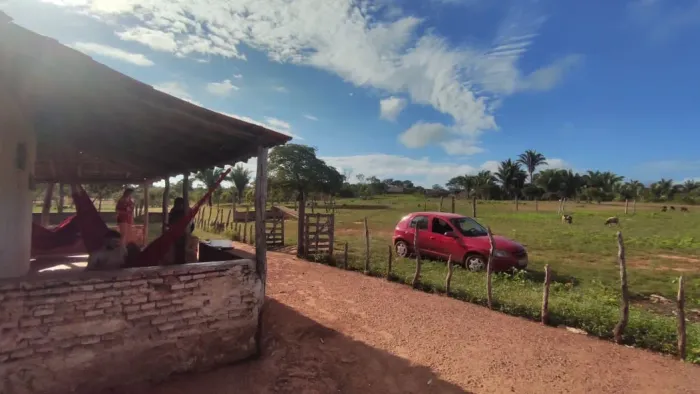 Sítio em José de Freitas 60 HA