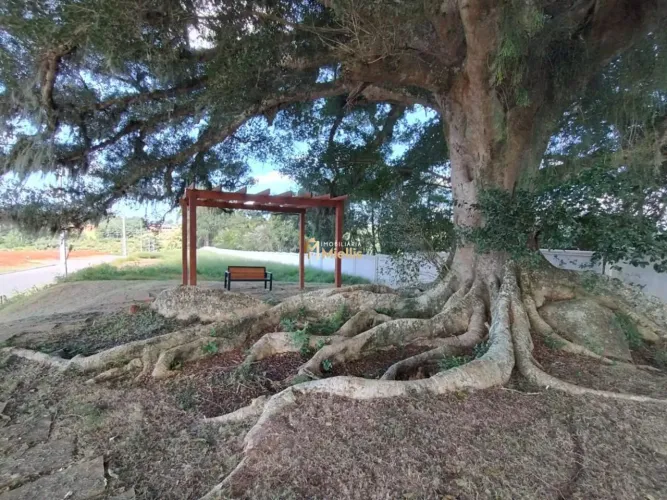 Terreno em Condomínio à venda em Augusta, Viamão - Condomínio Green II no Caminho do Meio