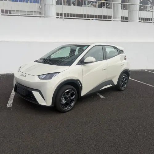 BYD Dolphin Mini (Elétrico) 2027