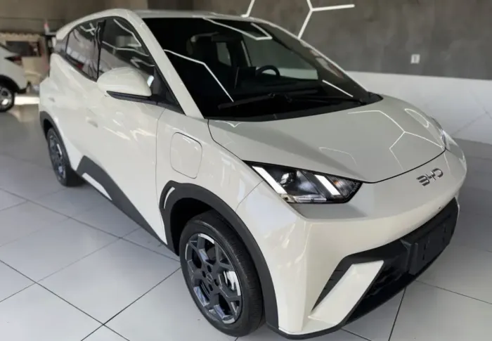 BYD Dolphin Mini (Elétrico) 2027