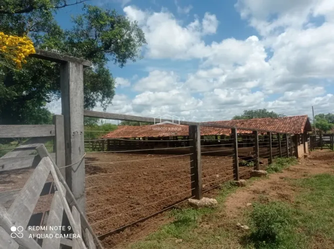 EXCELENTE FAZENDA NA REGIÃO DE GRAO MOGOL PARA PLANTIO DE GRÃOS E PECUARIA