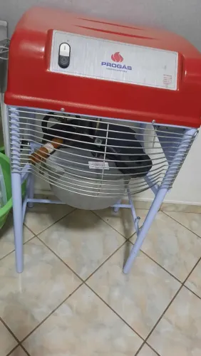 Misturela de salgados 