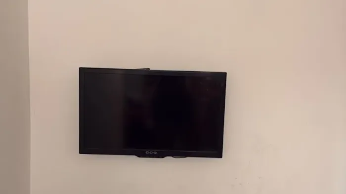 Televisão