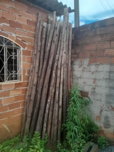 Escoras de eucalipto 40 unidades 10,00 cada