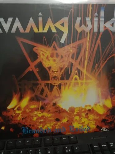 LOTE discos vinil de Metal / Heavy Metal 1000 frete gratis