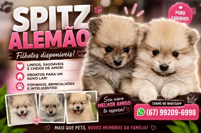 Spitz alemão