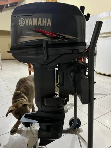 motor popa Yamaha 25 hp 2014 partida elétrica 