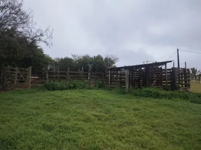 Ótima Fazenda em Jaguaquara