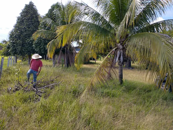Sítio 60 hectares 
