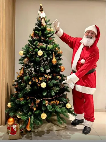 Vendo belíssima Árvore de Natal com 2 mts de altura