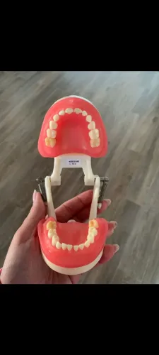 Manequim de odonto pedriatria