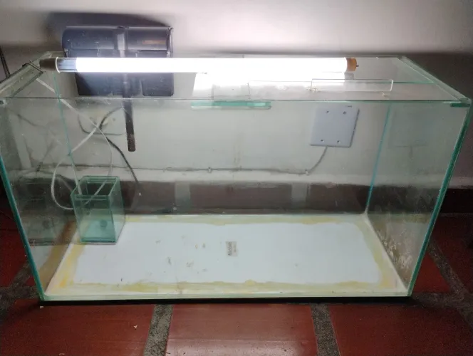 Aquário 100 litros