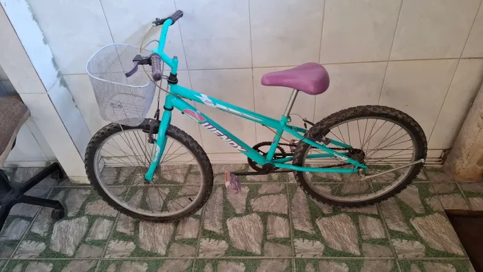 Bicicleta Aro 24 Feminina 