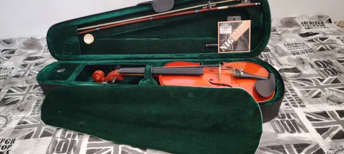 Violino Michael 4/4 com Case