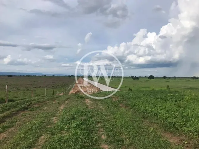 Fazenda à Venda 2.400 Alqueires Próximo a Flores de Goiás