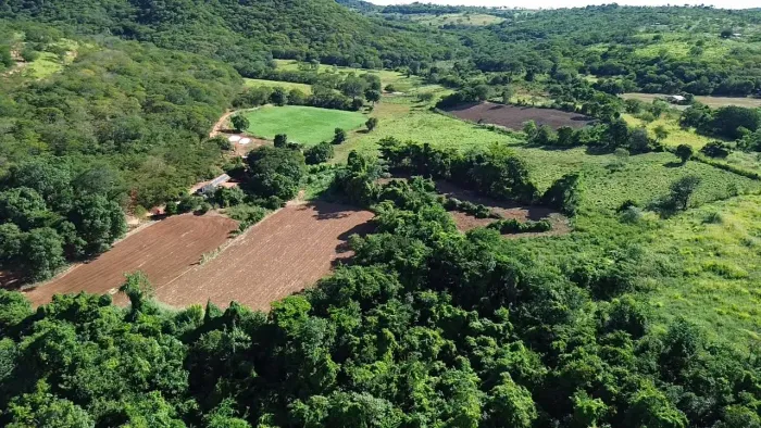 Fazendinha com área irrigada ,Area plantio milho,feijao e Quiabo...