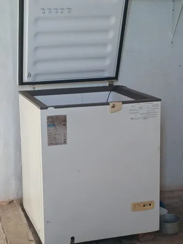 Freezer 1 tampa