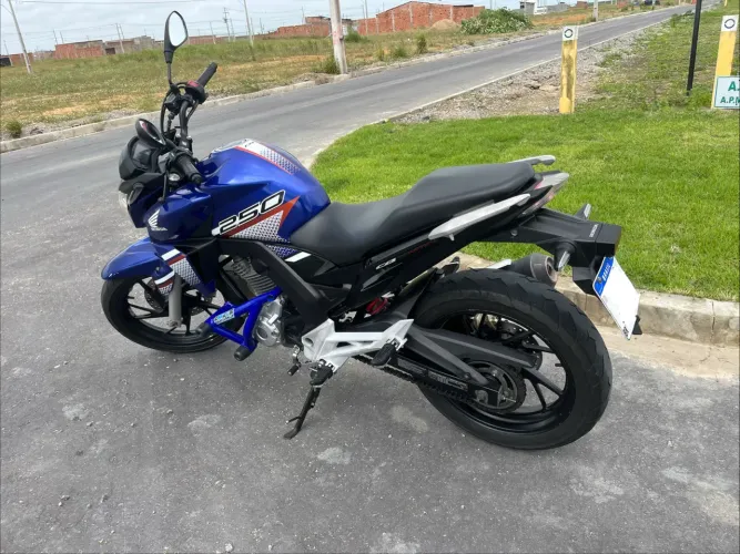CB250F Twister Flexone